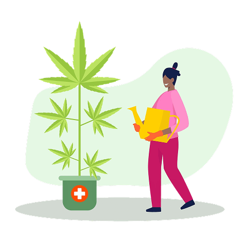 Custom Cannabis Delivery App Development