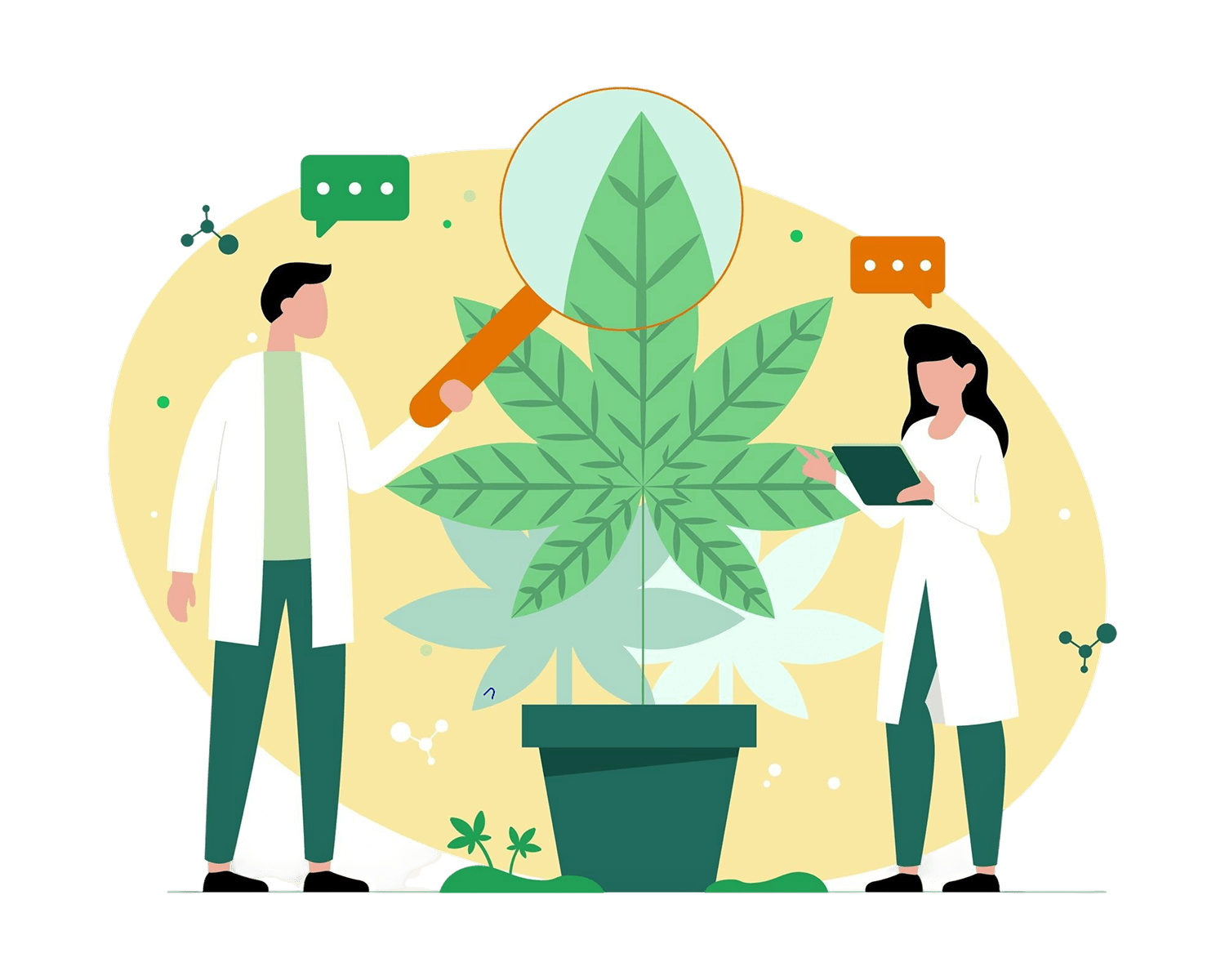 Grow Your Cannabis Business with a Custom Delivery App